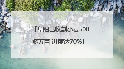 阜阳已收割小麦500多万亩 进度达70%