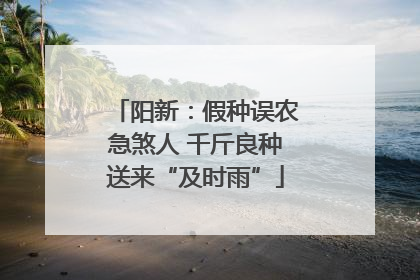 阳新：假种误农急煞人 千斤良种送来“及时雨”