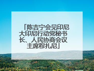 陈吉宁会见印尼大印尼行动党秘书长、人民协商会议主席穆扎尼