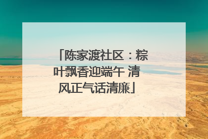 陈家渡社区：粽叶飘香迎端午 清风正气话清廉