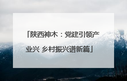 陕西神木：党建引领产业兴 乡村振兴谱新篇
