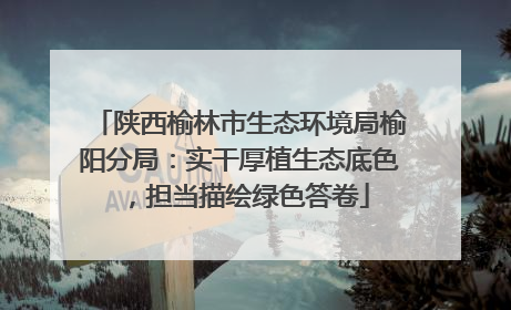 陕西榆林市生态环境局榆阳分局：实干厚植生态底色，担当描绘绿色答卷