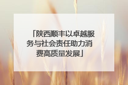 陕西顺丰以卓越服务与社会责任助力消费高质量发展