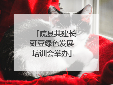 院县共建长豇豆绿色发展培训会举办
