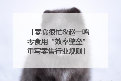 零食很忙&赵一鸣零食用“效率壁垒”重写零售行业规则