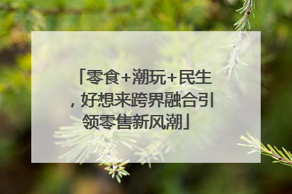 零食+潮玩+民生，好想来跨界融合引领零售新风潮
