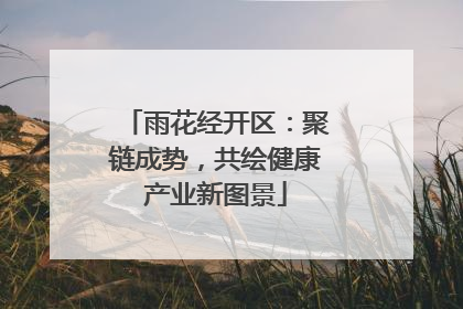 雨花经开区：聚链成势，共绘健康产业新图景