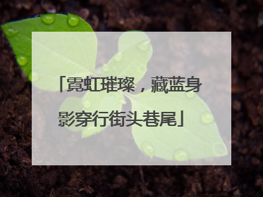 霓虹璀璨，藏蓝身影穿行街头巷尾