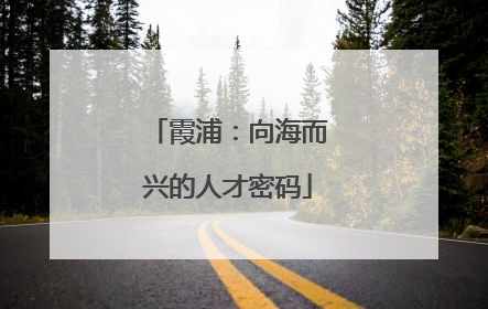 霞浦：向海而兴的人才密码