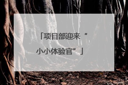 项目部迎来“小小体验官”