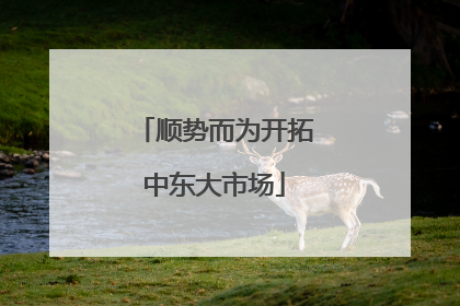 顺势而为开拓中东大市场