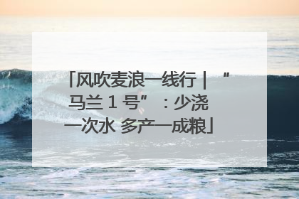 风吹麦浪一线行｜“马兰 1 号”：少浇一次水 多产一成粮