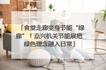 食堂走廊变身节能“绿廊”！嘉兴机关节能展把绿色理念融入日常