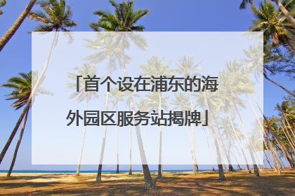 首个设在浦东的海外园区服务站揭牌