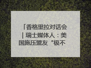 香格里拉对话会｜瑞士媒体人：美国施压盟友“极不理性” 欧洲国家无意与中国“脱钩断链”