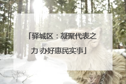 驿城区：凝聚代表之力 办好惠民实事