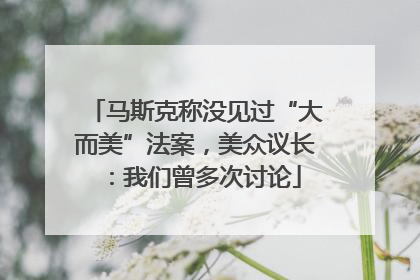 马斯克称没见过“大而美”法案，美众议长：我们曾多次讨论