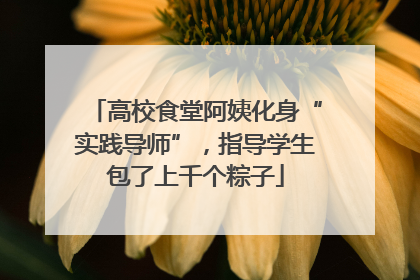高校食堂阿姨化身“实践导师”，指导学生包了上千个粽子