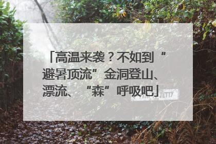 高温来袭？不如到“避暑顶流”金洞登山、漂流、“森”呼吸吧