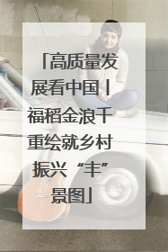 高质量发展看中国丨福稻金浪千重绘就乡村振兴“丰”景图