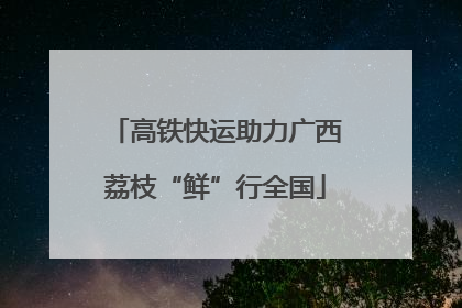 高铁快运助力广西荔枝“鲜”行全国