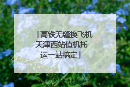 高铁无缝换飞机 天津西站值机托运一站搞定