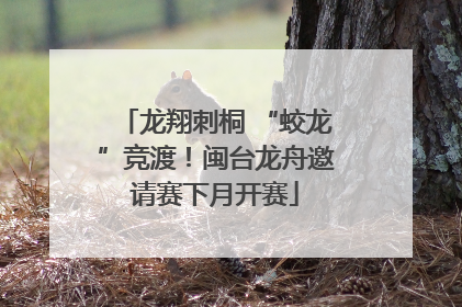 龙翔刺桐 “蛟龙”竞渡！闽台龙舟邀请赛下月开赛