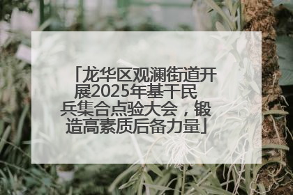 龙华区观澜街道开展2025年基干民兵集合点验大会，锻造高素质后备力量