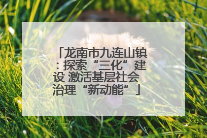 龙南市九连山镇：探索“三化”建设 激活基层社会治理“新动能”
