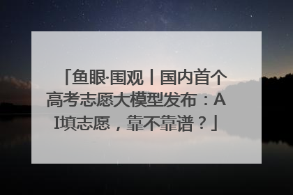 鱼眼·围观丨国内首个高考志愿大模型发布：AI填志愿，靠不靠谱？