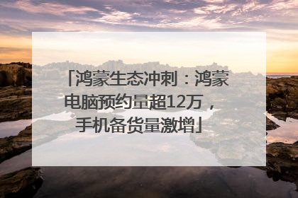鸿蒙生态冲刺：鸿蒙电脑预约量超12万，手机备货量激增