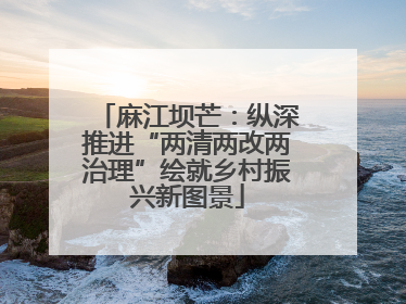 麻江坝芒：纵深推进“两清两改两治理”绘就乡村振兴新图景
