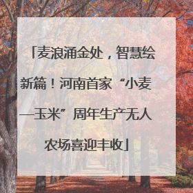 麦浪涌金处，智慧绘新篇！河南首家“小麦—玉米”周年生产无人农场喜迎丰收