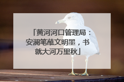 黄河河口管理局：安澜笔蘸文明墨，书就大河万里秋