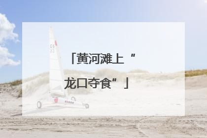 黄河滩上“龙口夺食”