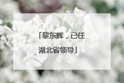黎东辉，已任湖北省领导