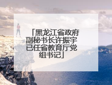 黑龙江省政府副秘书长许振宇已任省教育厅党组书记