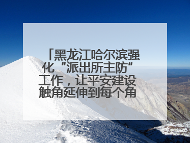 黑龙江哈尔滨强化“派出所主防”工作，让平安建设触角延伸到每个角落……
