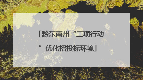 黔东南州“三项行动”优化招投标环境