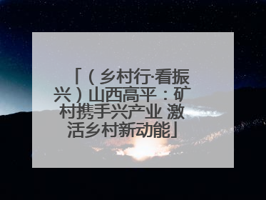 （乡村行·看振兴）山西高平：矿村携手兴产业 激活乡村新动能