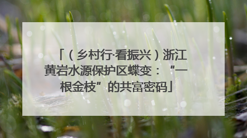（乡村行·看振兴）浙江黄岩水源保护区蝶变：“一根金枝”的共富密码