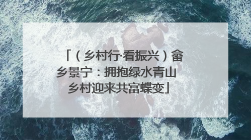 （乡村行·看振兴）畲乡景宁：拥抱绿水青山 乡村迎来共富蝶变