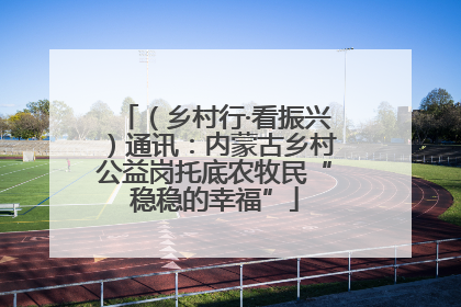 （乡村行·看振兴）通讯：内蒙古乡村公益岗托底农牧民“稳稳的幸福”