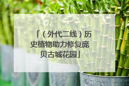（外代二线）历史植物助力修复庞贝古城花园