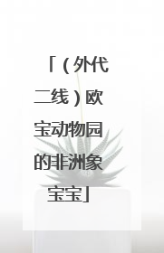 （外代二线）欧宝动物园的非洲象宝宝