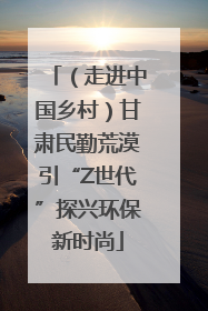 （走进中国乡村）甘肃民勤荒漠引“Z世代”探兴环保新时尚