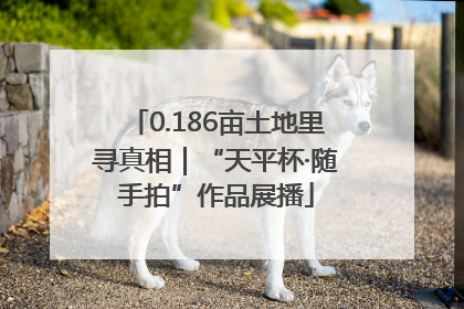 0.186亩土地里寻真相｜“天平杯·随手拍”作品展播