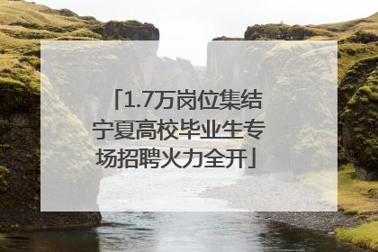 1.7万岗位集结 宁夏高校毕业生专场招聘火力全开