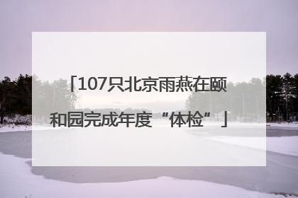 107只北京雨燕在颐和园完成年度“体检”