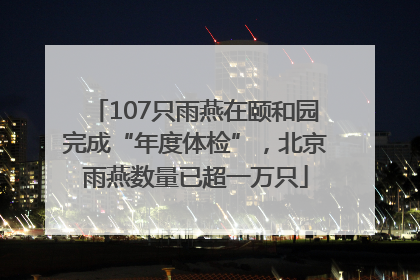 107只雨燕在颐和园完成“年度体检”，北京雨燕数量已超一万只
